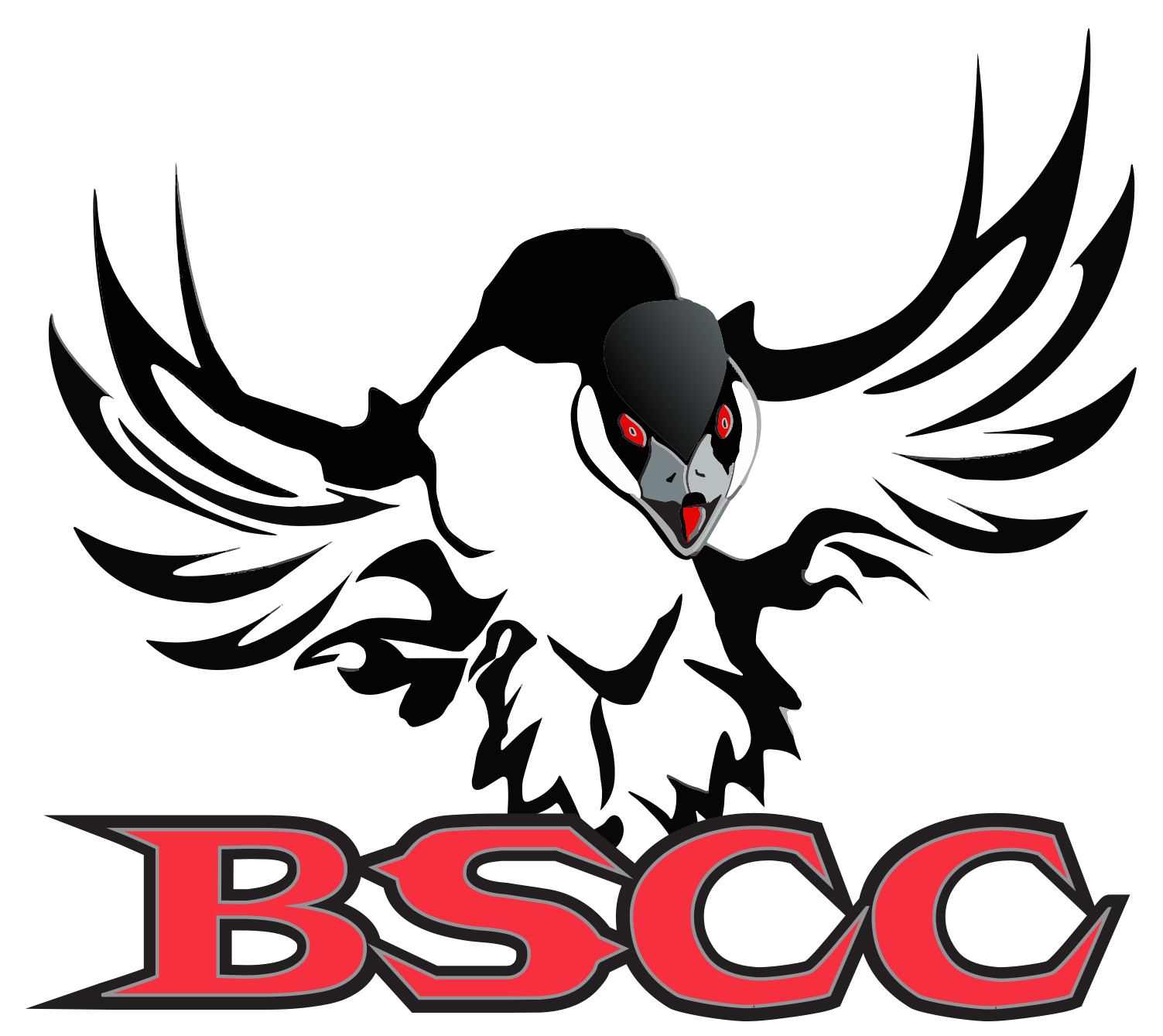 GOOSE CALLS Big Seans Championship Calls