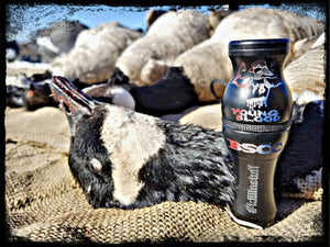 The "Young Blood" Lesser Goose call
